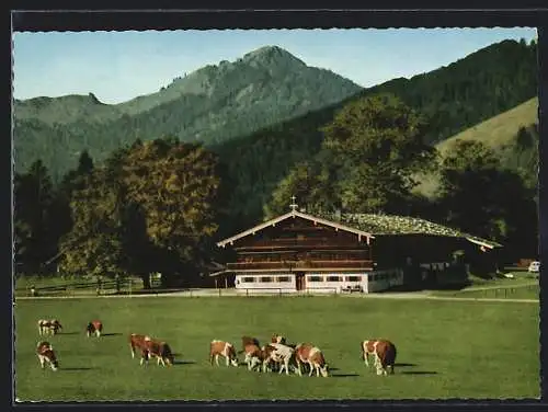 AK Bad Wiessee a. Teg., Berggasthaus Bauer in der Au mit Fockenstein