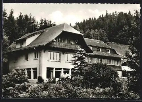 AK Todtmoos-Weg /Schwarzwald, Hotel Weidberghaus