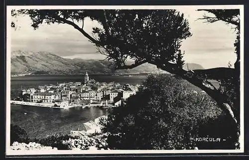 AK Korcula, Panorama mit Baum