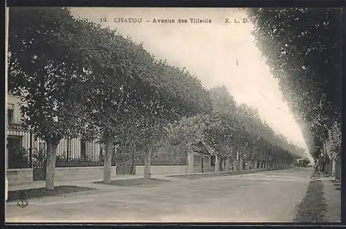 AK Chatou, Avenue des Tilleuls