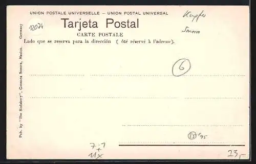 AK Cananea, Concentrator