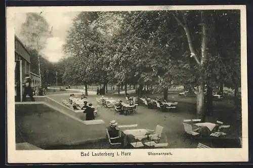 AK Bad Lauterberg i. Harz, Cafe im Wissmannpark