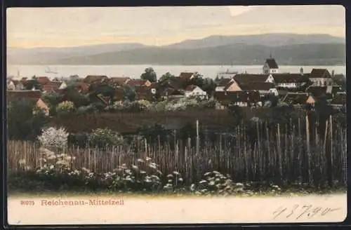 AK Reichenau-Mittelzell, Teilansicht