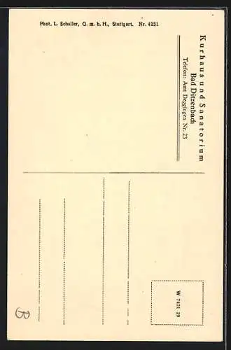 AK Bad Ditzenbach, Kurhaus und Sanatorium, Ludowica-Quelle und Vinzenz-Quelle