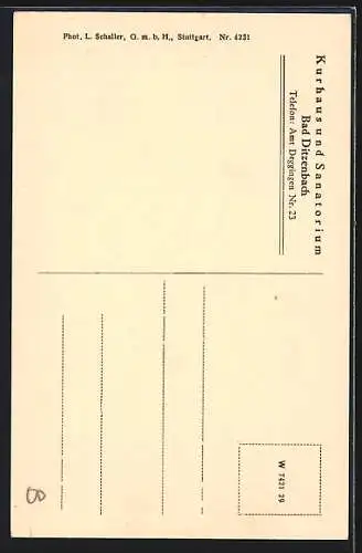 AK Bad Ditzenbach, Kurhaus und Sanatorium, Ludowica-Quelle und Vinzenz-Quelle