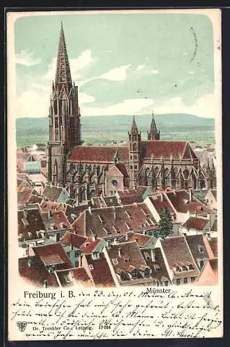 AK Freiburg i. B., Blick auf den Münster