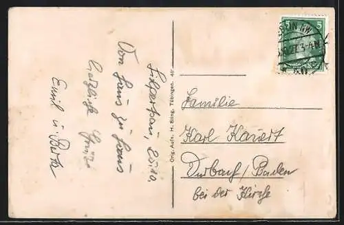 AK Hilpertsau, Gasthaus zum Ochsen, Teilansicht