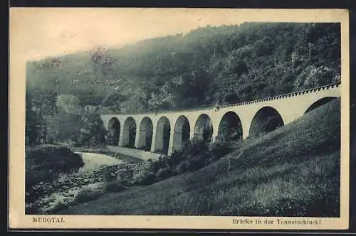 AK Tennetschlucht /Murgtal, Brücke in der Tennetschlucht