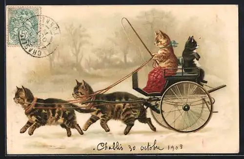 Lithographie Katzen auf einer Kutsche, vermenschlichte Tiere