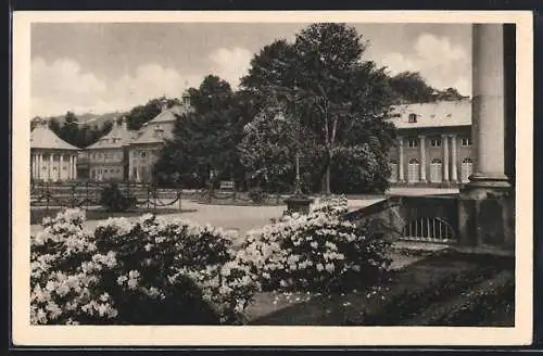 AK Dresden-Pillnitz, Schloss Pillnitz, Ortspartie