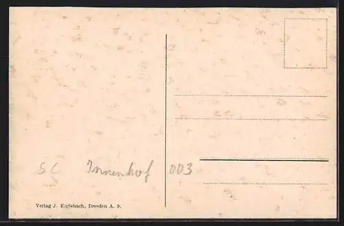 AK Dresden, Kgl Zwinger und Sophienkirche aus der Vogelschau