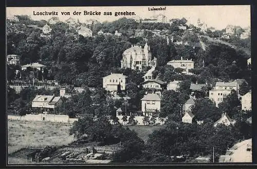 AK Dresden-Loschwitz, Teilansicht mit Hotel Luisenhof von der Brücke aus gesehen