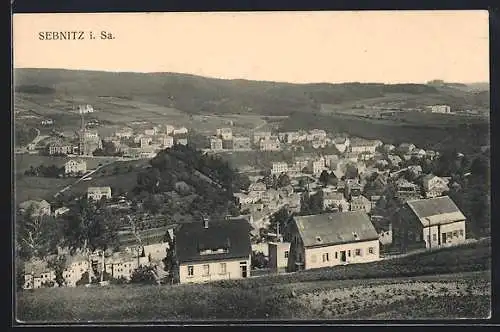 AK Sebnitz i. Sa., Teilansicht mit Kirche