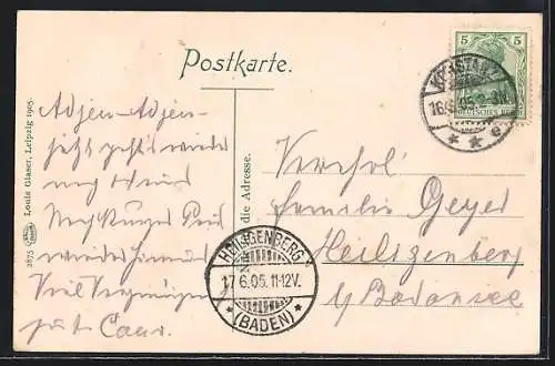 AK Konstanz a. Bodensee, Teilansicht mit Segelbooten