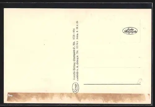 AK Konstanz a. Bodensee, vom Flugzeug aus