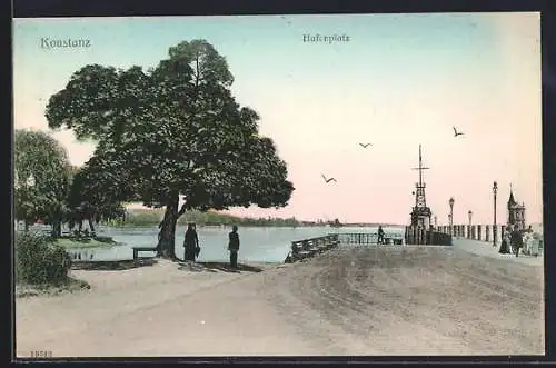 AK Konstanz, Alter Baum am Hafenplatz