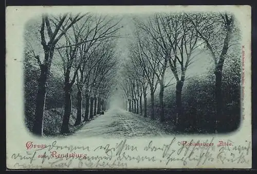 Mondschein-AK Rendsburg, Die Nobiskruger Allee