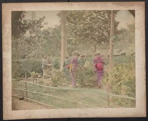 Fotografie unbekannter Fotograf und Ort, Japanische Teehändler in seinem Geschäft, Teekannen, Vasen, Handkoloriert