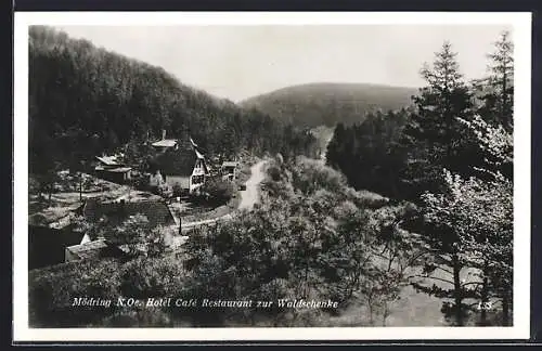 AK Mödring /N. Oe., Hotel Cafè-Restaurant zur Waldschenke