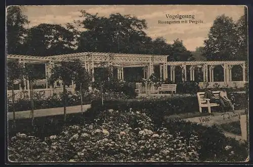 AK Vogelsang / Magdeburg, Rosengarten mit Pergola