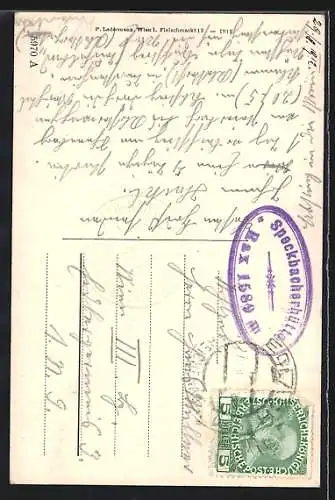 AK Rax, Bergsteiger auf der grossen Leiter am Teufelsbadstubensteig