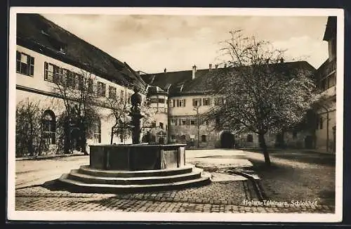 AK Hohen-Tübingen, Brunnen im Schlosshof