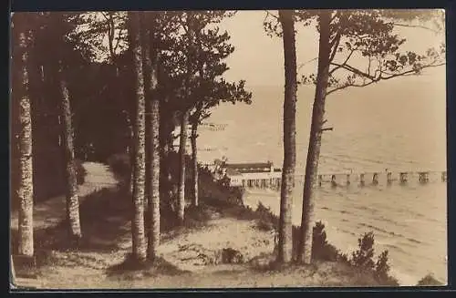 Foto-AK Sellin /Rügen, Uferpartie mit Landungsbrücke