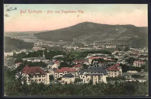 AK Bad Kissingen, Blick vom Pappenheim-Weg auf den Ort