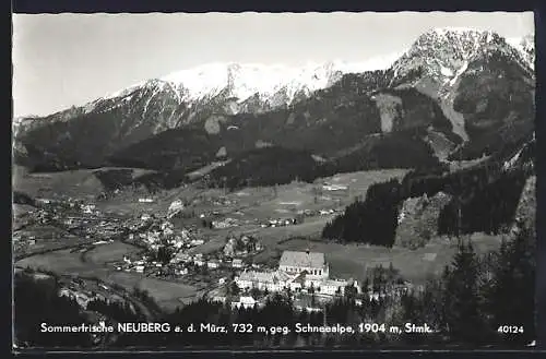 AK Neuberg a. d. Mürz, Blick gegen die Schneealpe