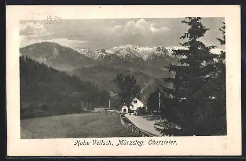 AK Mürzsteg /Obersteier, Panorama mit Hohe Veitsch