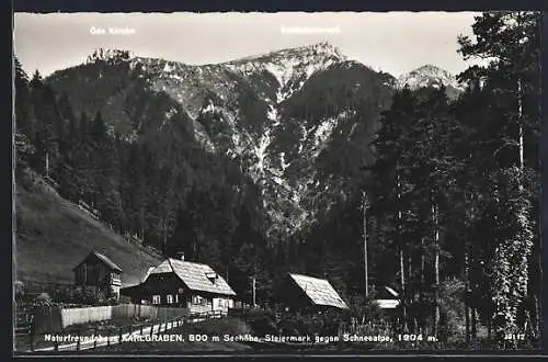 AK Karlgraben /Steiermark, Ansicht mit Schneealpe