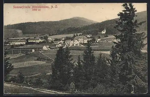 AK Mönichkirchen /N.-Ö., Teilansicht mit Tannen