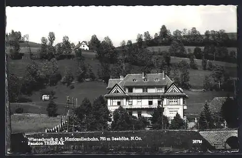 AK Wienerbruck a. d. Mariazellerbahn, Pension Tresnak