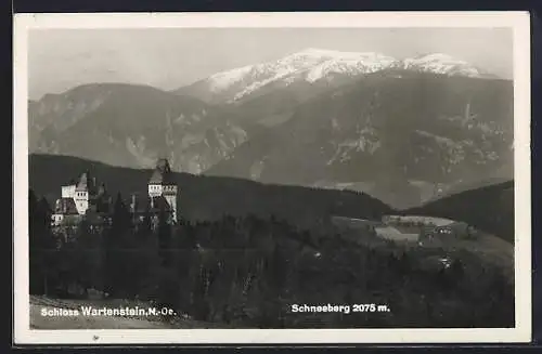 AK Gloggnitz /N.-Oe., Schloss Wartenstein mit Schneeberg