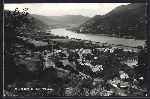 AK Willendorf in der Wachau, Teilansicht mit Strassenpartie