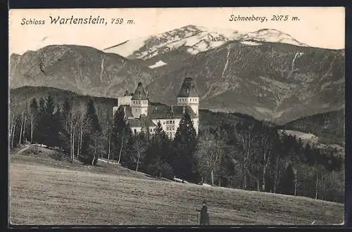 AK Gloggnitz, Schloss Wartenstein mit Schneeberg