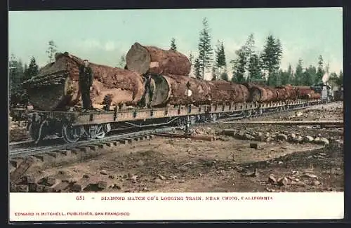 AK Chico, CA, Diamond Match Co.`s Logging Train