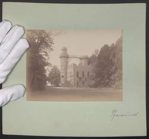 Fotografie unbekannter Fotograf, Ansicht Berlin, Blick nach dem Schloss Pfaueninsel