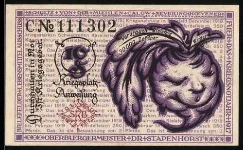 Notgeld Bielefeld 1917, 10 Pfennig, violettes Blattgesicht, Seriennummer 111302, Stadtwappen und Schriftzüge