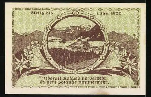 Notgeld Ruhpolding 1921, 30 Pfennig, florales Design, Berglandschaft, gültig bis 1922