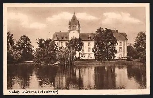 AK Osieczna, Schloss im Sonnenschein