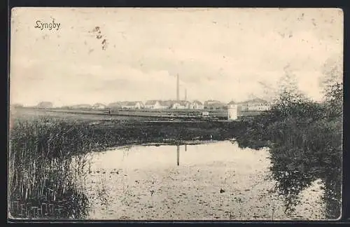 AK Lyngby, Panorama