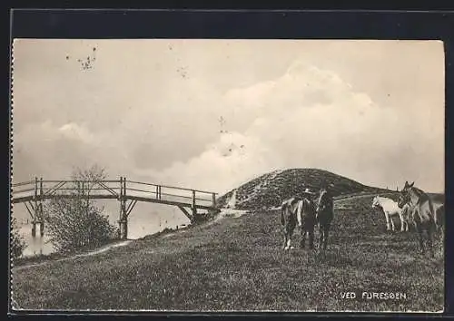 AK Furesoen, Panorama mit Pferden