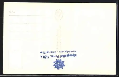 AK Hippach /Zillertal, Panorama und Alpengasthof Perler