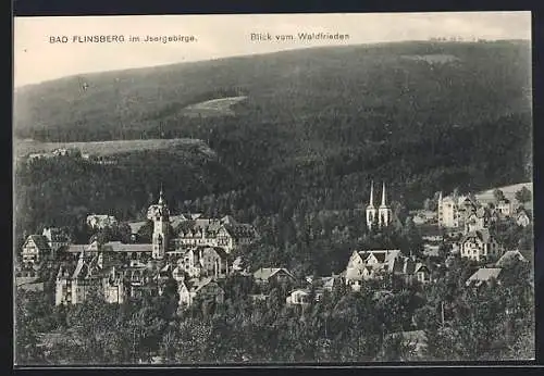 AK Bad Flinsberg im Isergebirge, Blick vom Waldfrieden