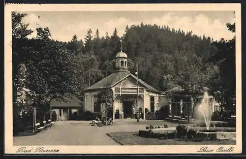 AK Bad Reinerz, Laue Quelle mit Springbrunnen