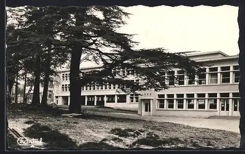 AK Verrières-le-Buisson, Écoles de la Fondation Moneg, facade et arbres majestueux