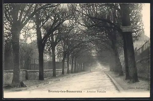 AK Brunoy-les-Bosserons, Avenue Portalis sous les arbres dénudés