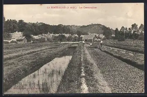 AK La Ferté-Alais, Les Cressonnières