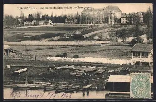 AK Ris-Orangis, Panorama du Sanatorium de Champrosay